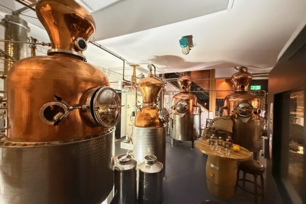 Gin Tour
